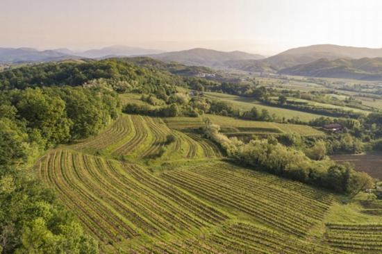 Agriturismo Spolert Winery Prepotto  Luaran gambar