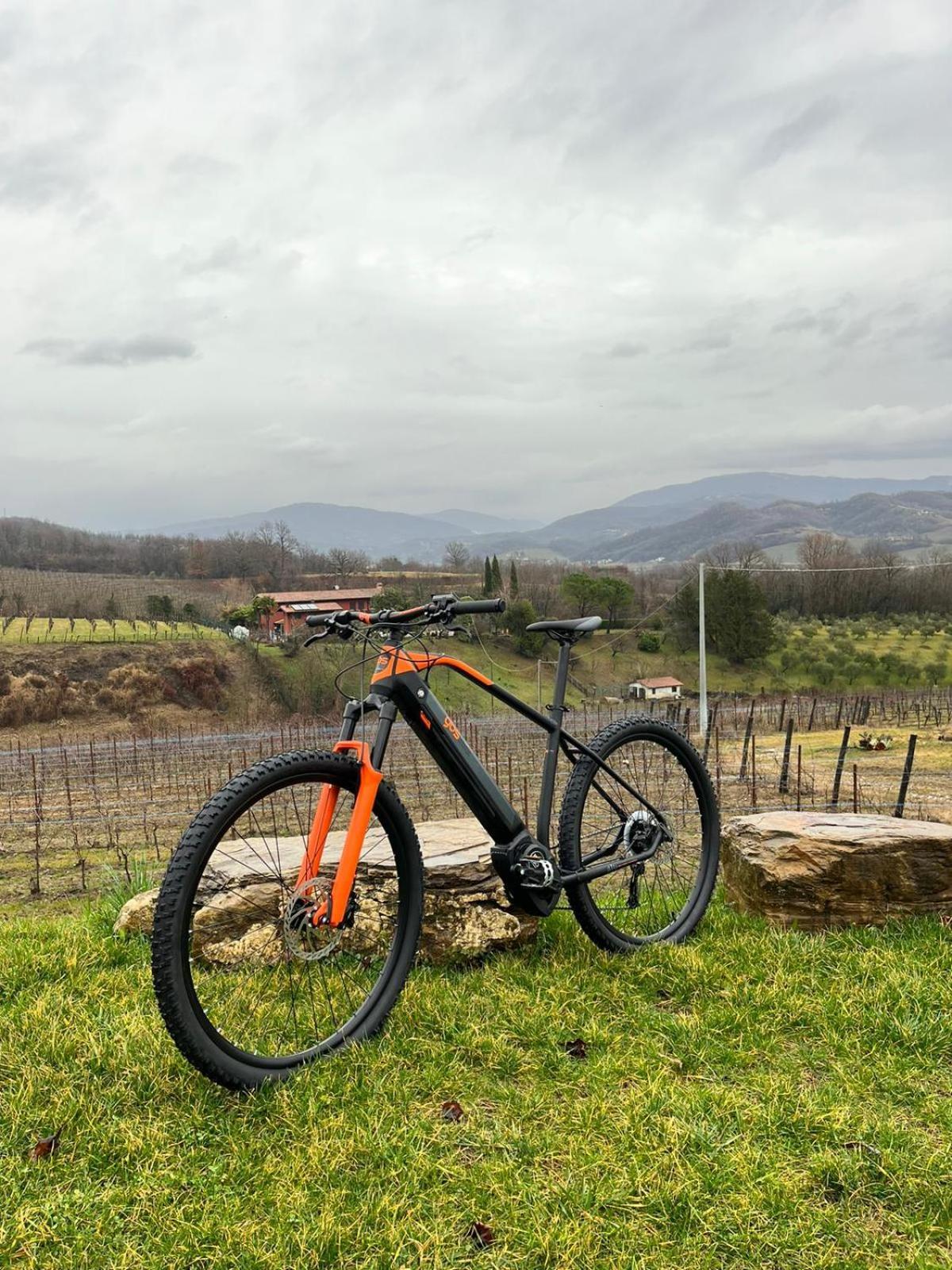 Agriturismo Spolert Winery Prepotto  Luaran gambar